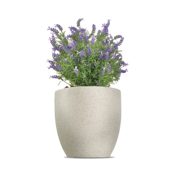 Vistafolia French Lavender Bush Purple FLB-PPL