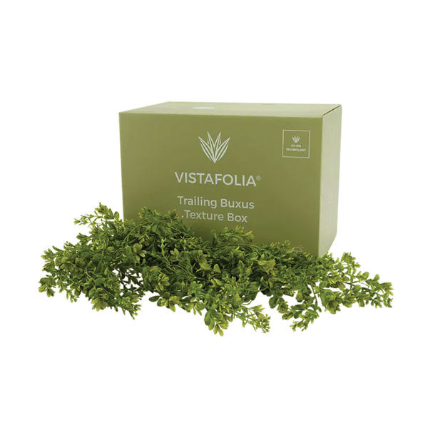 Vistafolia Extendable Buxus Trailing Foliage TPL-BUX