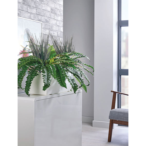 Boston Fern and Savannah Grass Matte Lava Trough LLRBFS550/RDYLV
