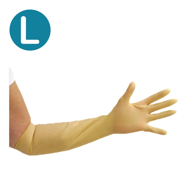 Prestige Non–Sterile Latex Gauntlets Natural (Large) (Pack of 10)