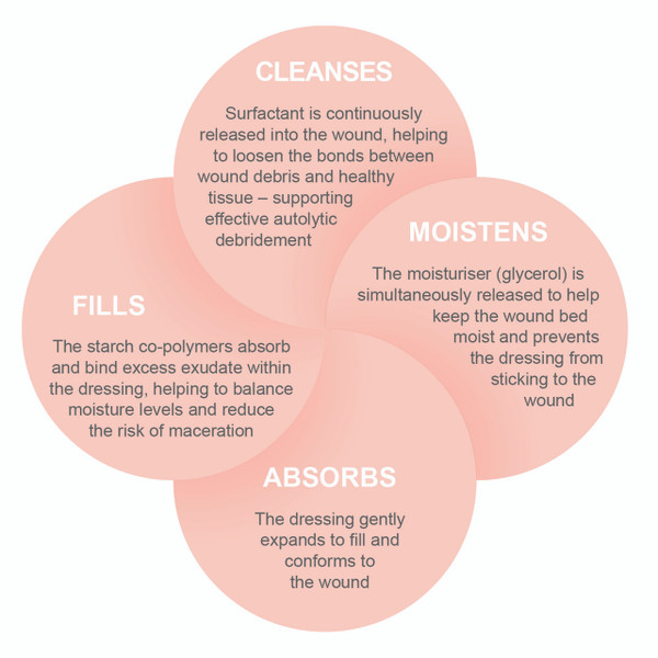 PolyMem® Finger/Toe Dressings (Size 3)  (Pack of 6)