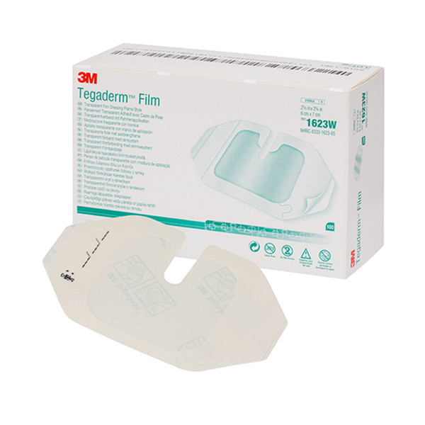 Tegaderm™ Frame–Style Transparent Film IV Dressings (20 x 30 cm) (Pack of 10)