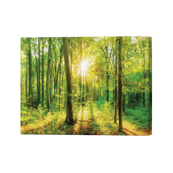 Green Forest Beauty Canvas Print 26x40 Inches SC1STVCD30130L