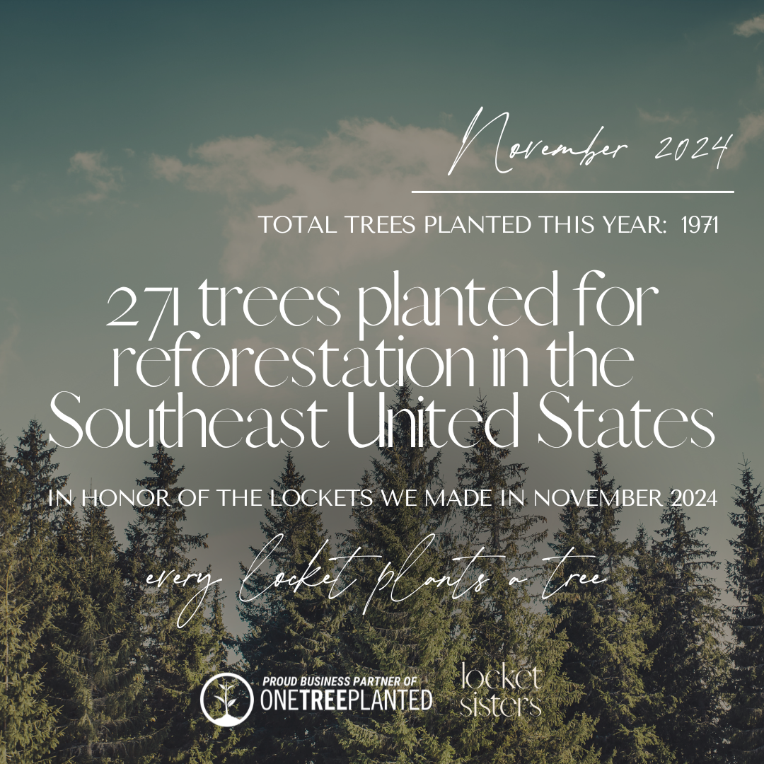 11november-2024-locket-sisters-every-locket-plants-a-tree-locket-sisters-september-2024.png
