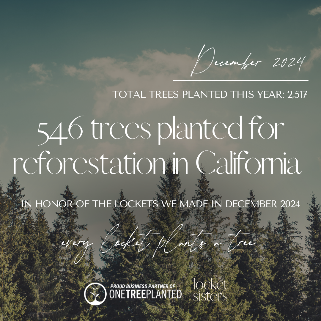 december-2024-trees-locket-sisters.png