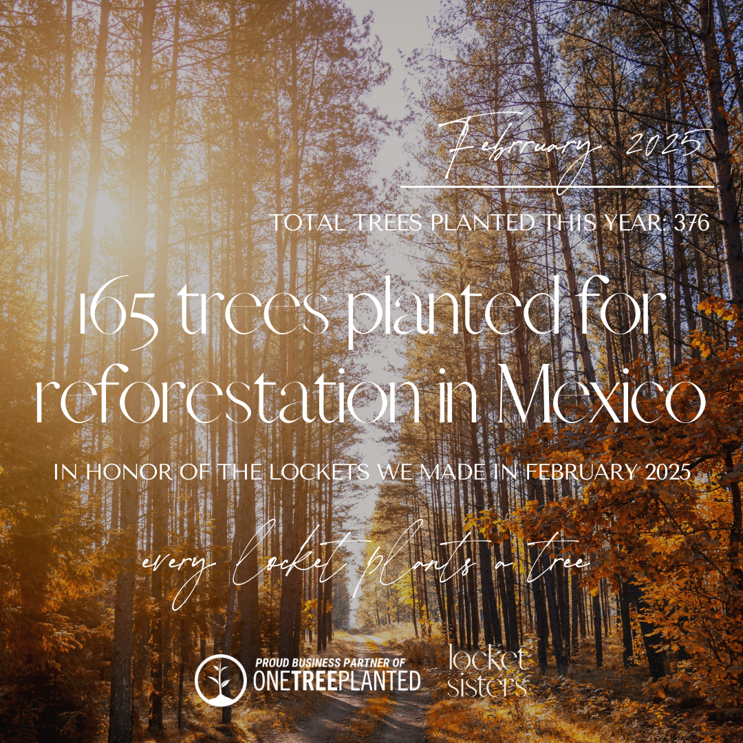 february-2025-every-locket-plants-a-tree-one-tree-planted-locket-sisters.png
