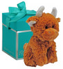 Mini Coo with gift box