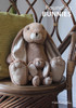 Jomanda - Small Snuggly Brown Bunny