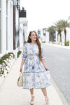 Chinoiserie Charm Dress