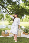 Chinoiserie Charm Dress