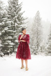Merry Musings Dress