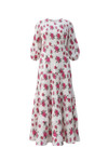 Where the Roses Roam Dress