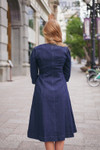 The Picnic Denim Dress