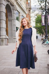 The Picnic Denim Dress