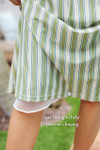 Amalfi Stripe Swim Dress