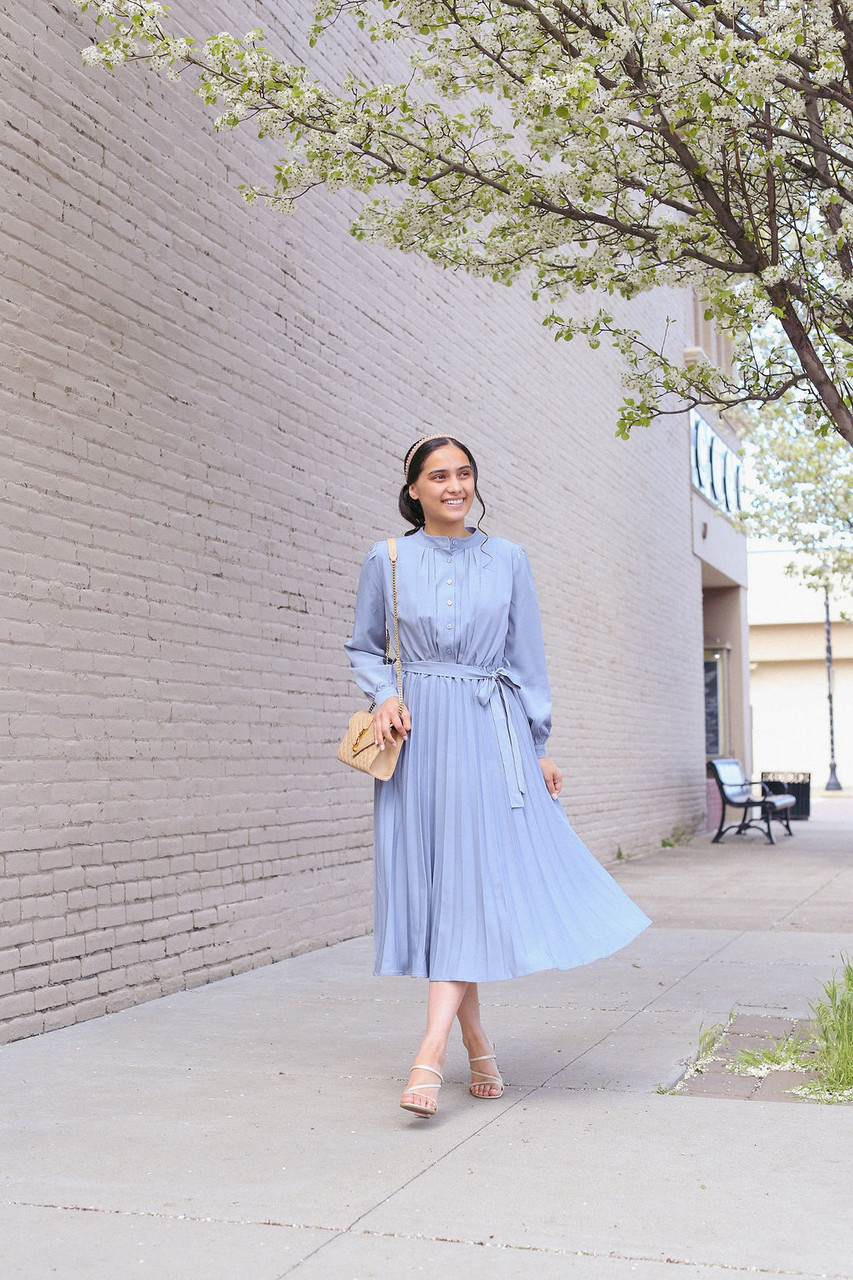 Perfectly Posh Dress (2 Colors) Modest Dresses