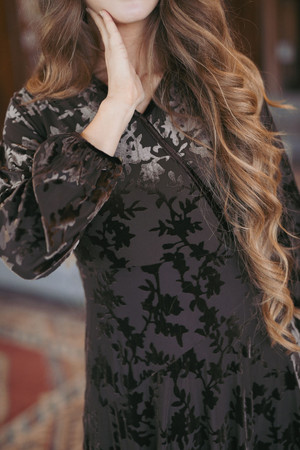 Versailles in Velvet Dress