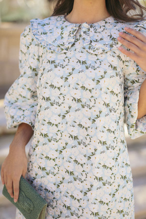 Petals of Paris Dress