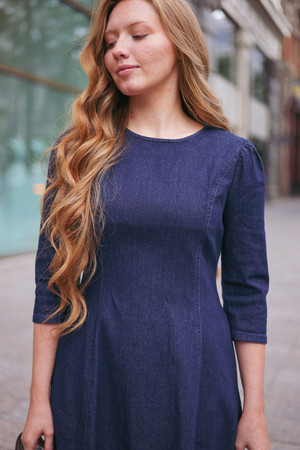 The Picnic Denim Dress