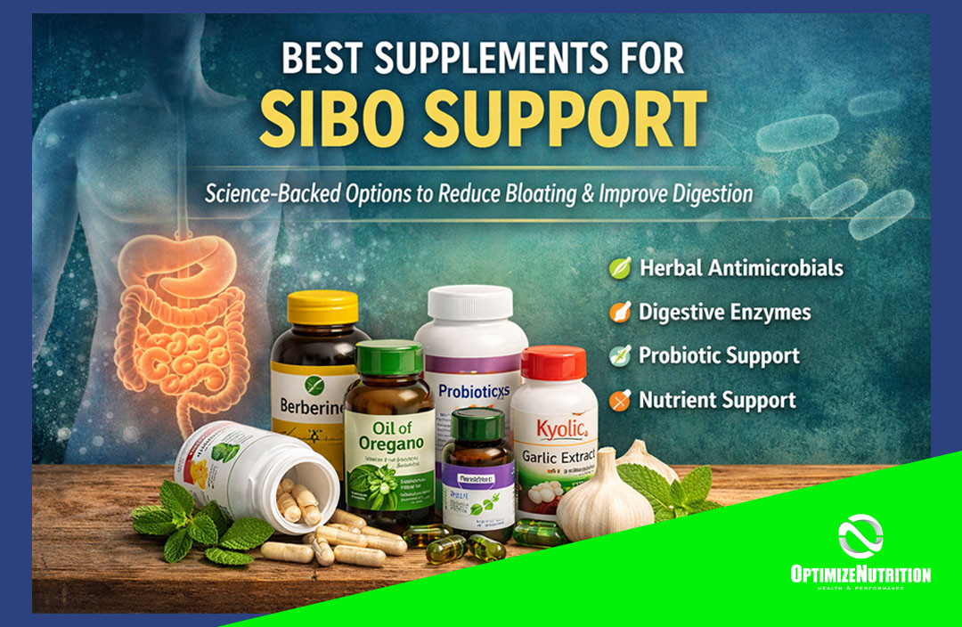 Best Supplements for SIBO Support: Science-Backed Options to Reduce Bloating & Improve Digestion