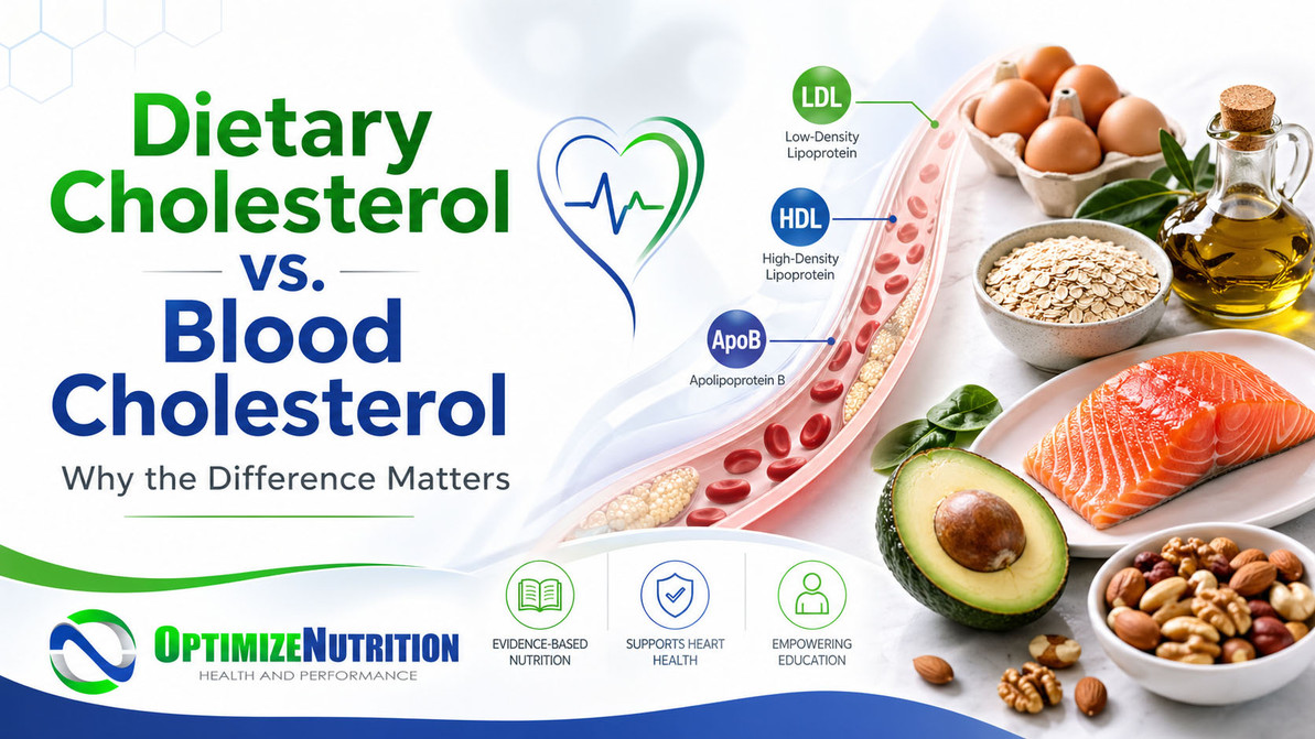 Dietary Cholesterol vs. Blood Cholesterol: Do Eggs Really Raise Cholesterol?