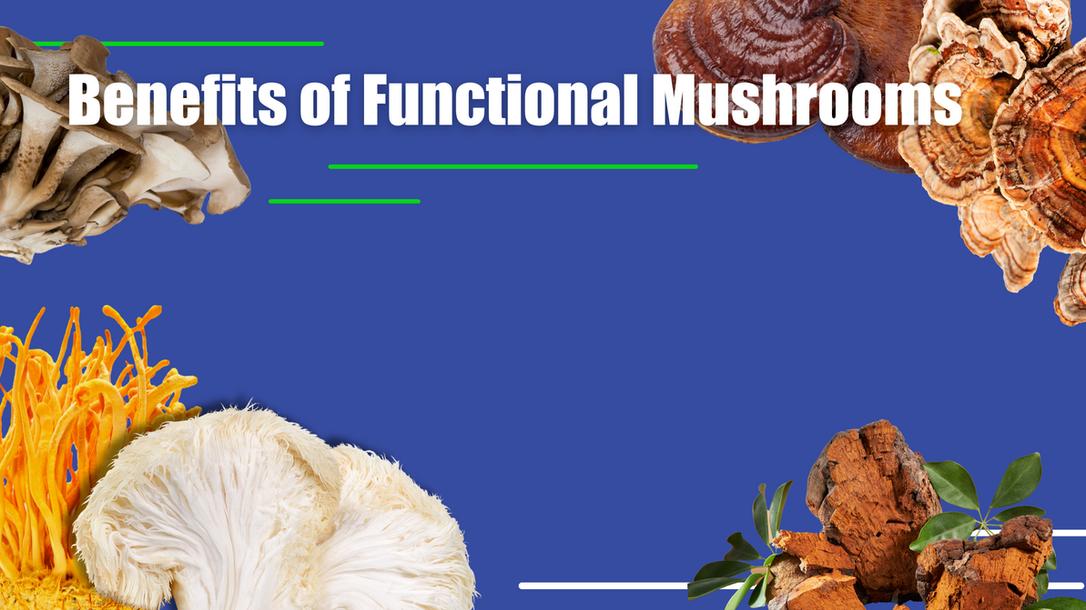 Benefits of Functional Mushrooms