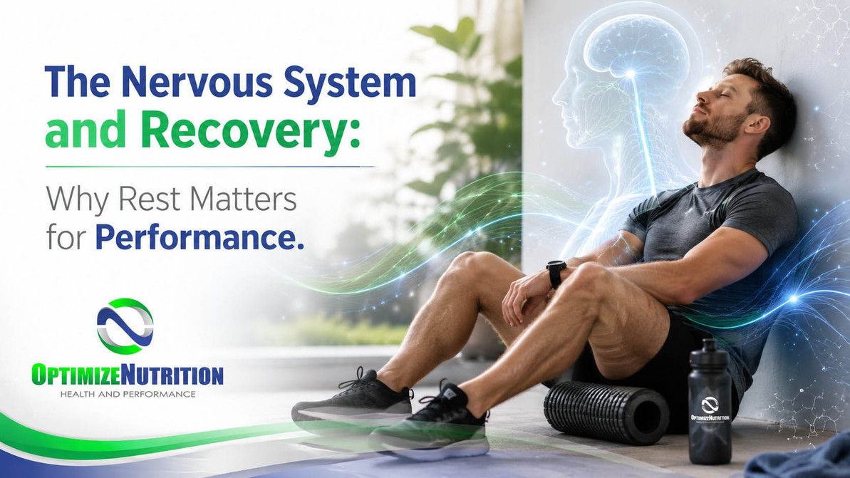 The Nervous System and Recovery: Why Rest Matters for Performance 