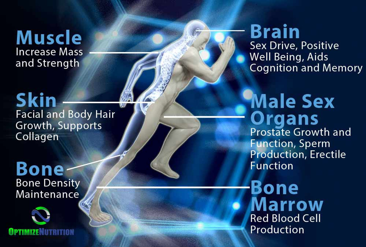 Natural Ways to Boost Women's Libido: The Blue Pill for Women? – Enerex  Botanicals