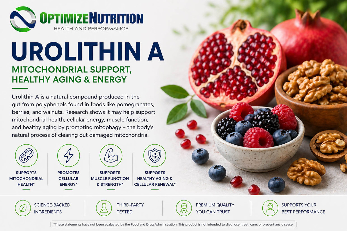 Urolithin A: Mitochondrial Support, Healthy Aging & Energy