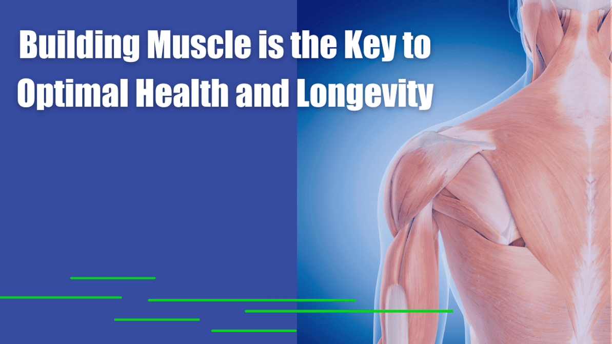 Why Building Muscle is the Key to Optimal Health and Longevity