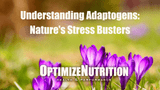 Understanding Adaptogens: Nature's Stress Busters