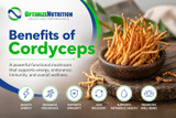 Cordyceps for Energy, Stamina, Recovery, and Immune Health