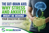 When Your Gut Isn’t the Root Problem: How Stress and the Nervous System Can Drive Digestive Symptoms 