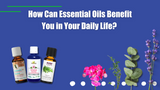 How Can Essential Oils Benefit You in Your Daily Life? 