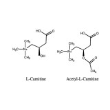 L-Carnitine Supplements