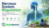 Nervous System Regulation: How Stress Affects Your Health—and What You Can Do About It