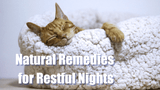 Holistic Supplements for Better Sleep: Natural Remedies for Restful Nights