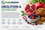 Urolithin A: Mitochondrial Support, Healthy Aging & Energy