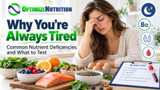 Why You're Always Tired: Common Nutrient Deficiencies and What to Test