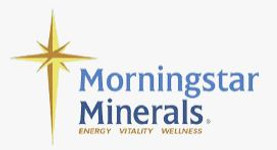 Morningstar Minerals