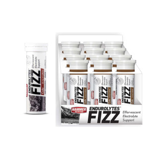Hammer Nutrition Endurolytes Fizz Tablets | Optimize Nutrition