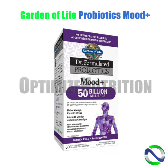 Garden of Life Dr. Formulated Probiotics Mood+ 50 Billion | Optimizenutrition.ca