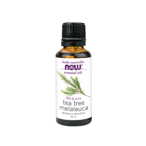 Now Essential Oils Tea Tree 100% Pure | Optimize Nutrition