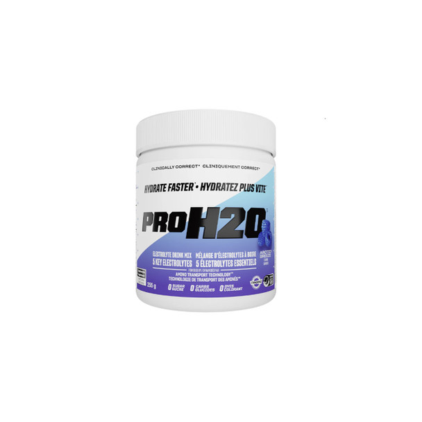 PVL Pro H2O 255g Arctic Breeze  | Optimize Nutrition