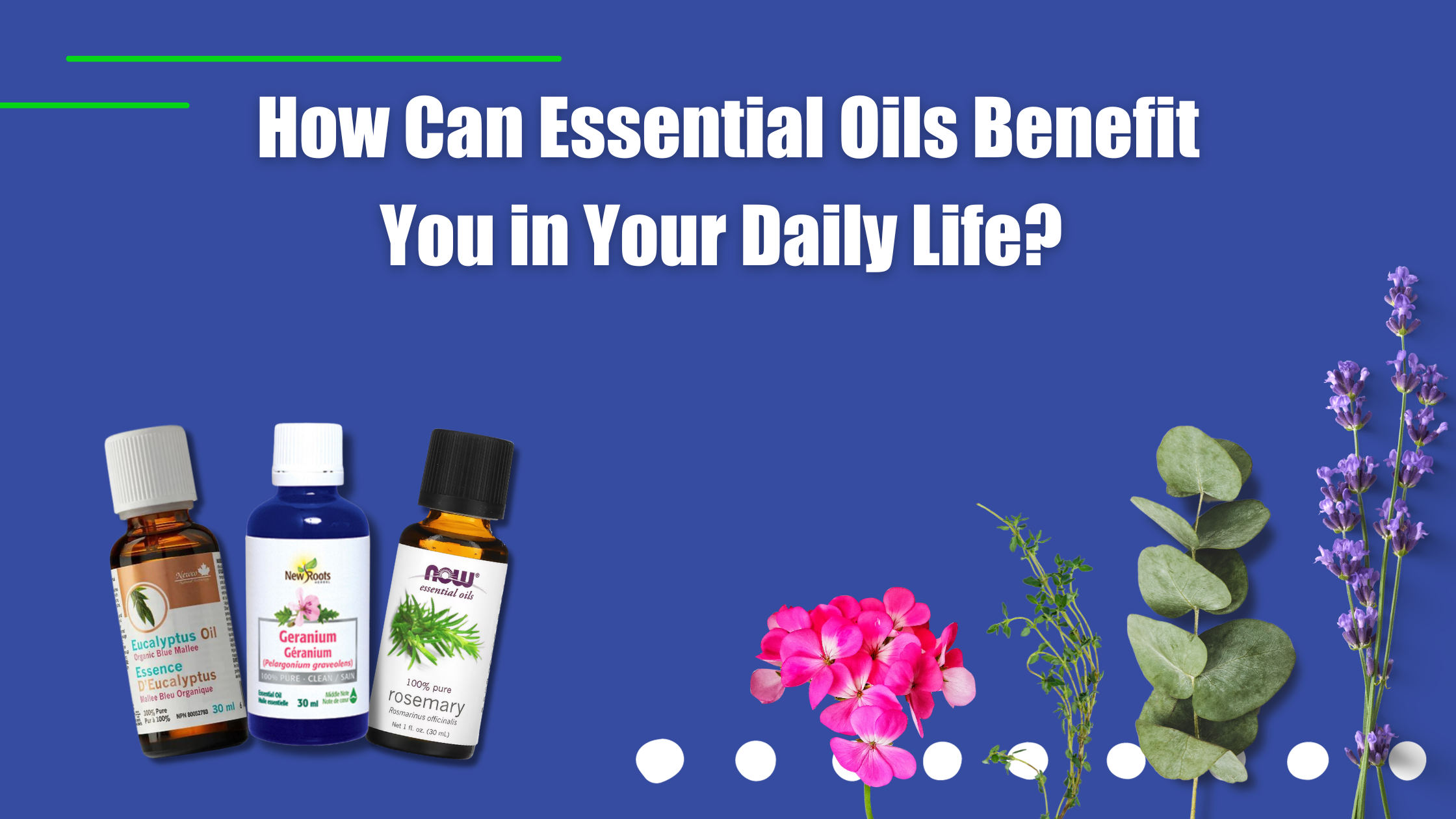 How Can Essential Oils Benefit You in Your Daily Life? Optimize Nutrition