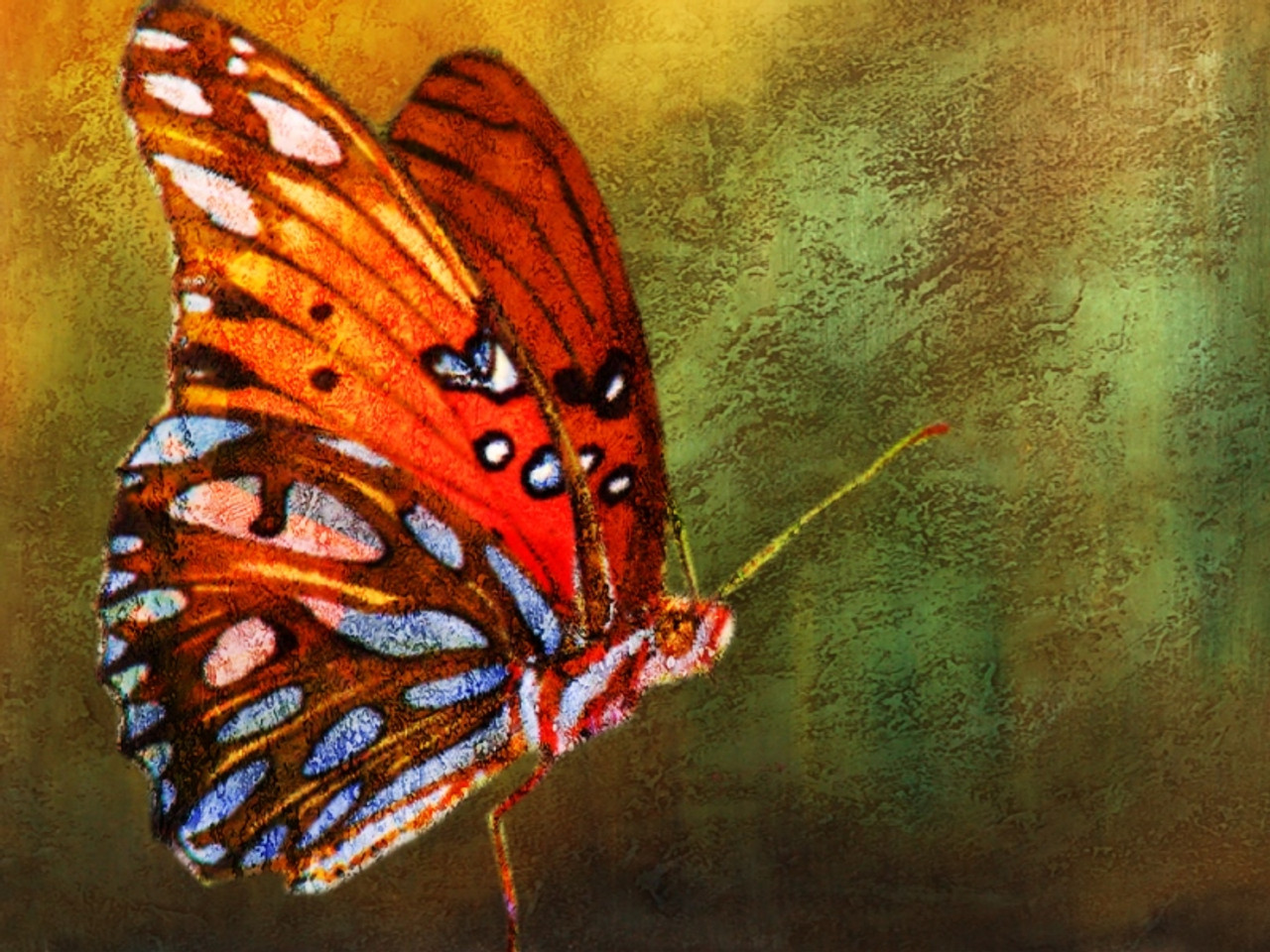 Buy Beautiful Butterfly 10 by Community Artists Group@ Rs. 9590 ...