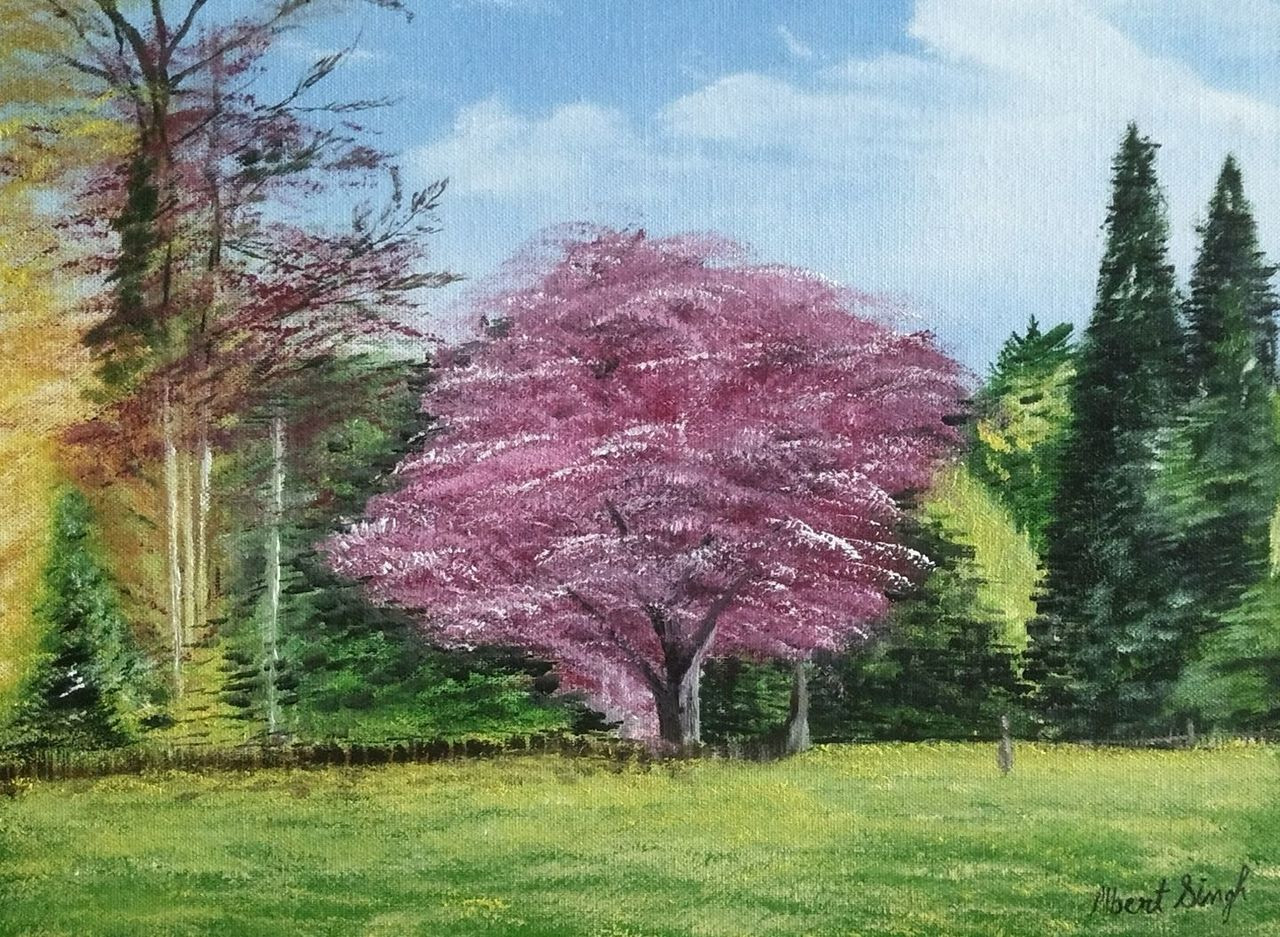 Buy Spring time with colorful trees Handmade Painting by Albert Singh ...