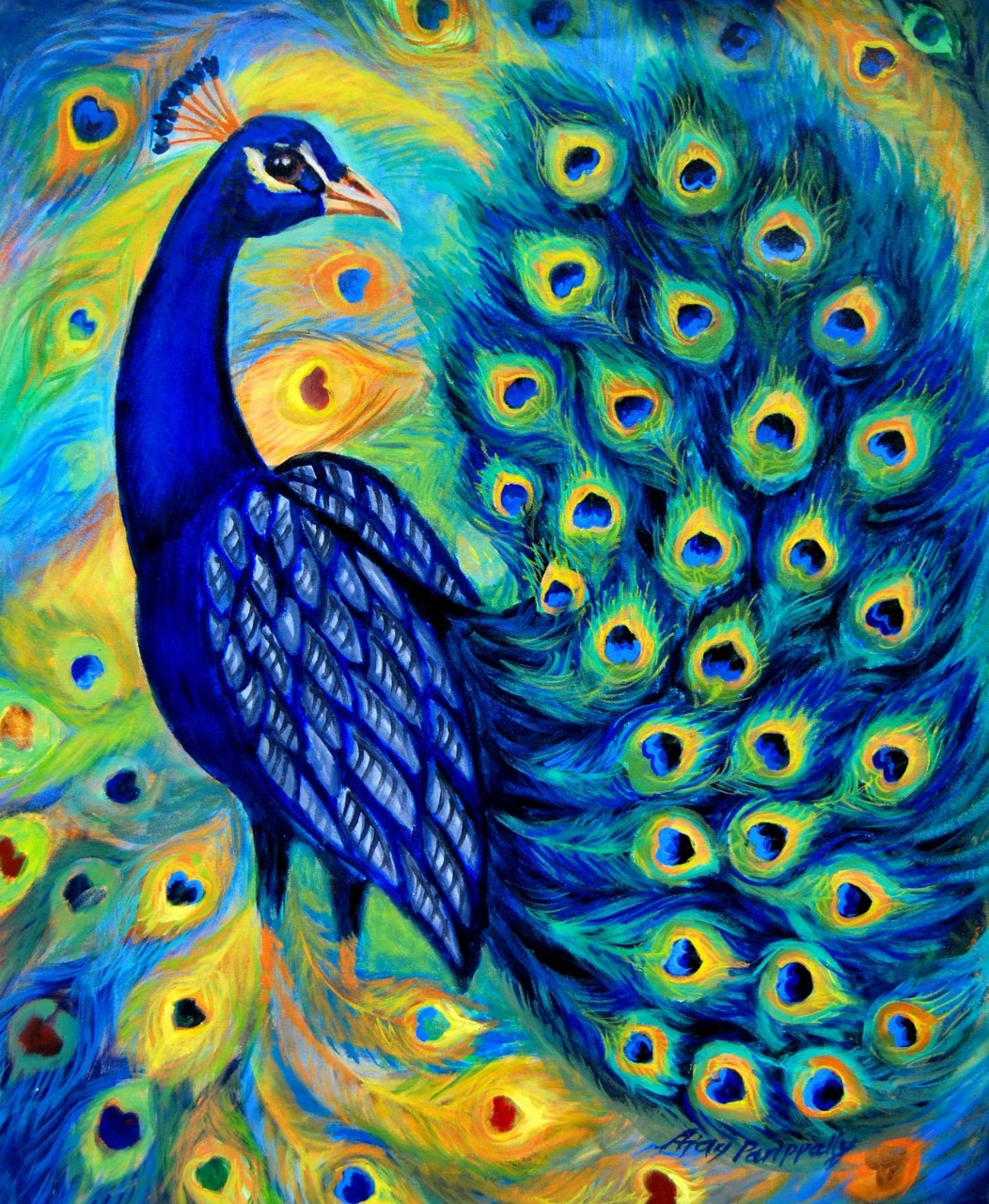 peacock dancing sketch