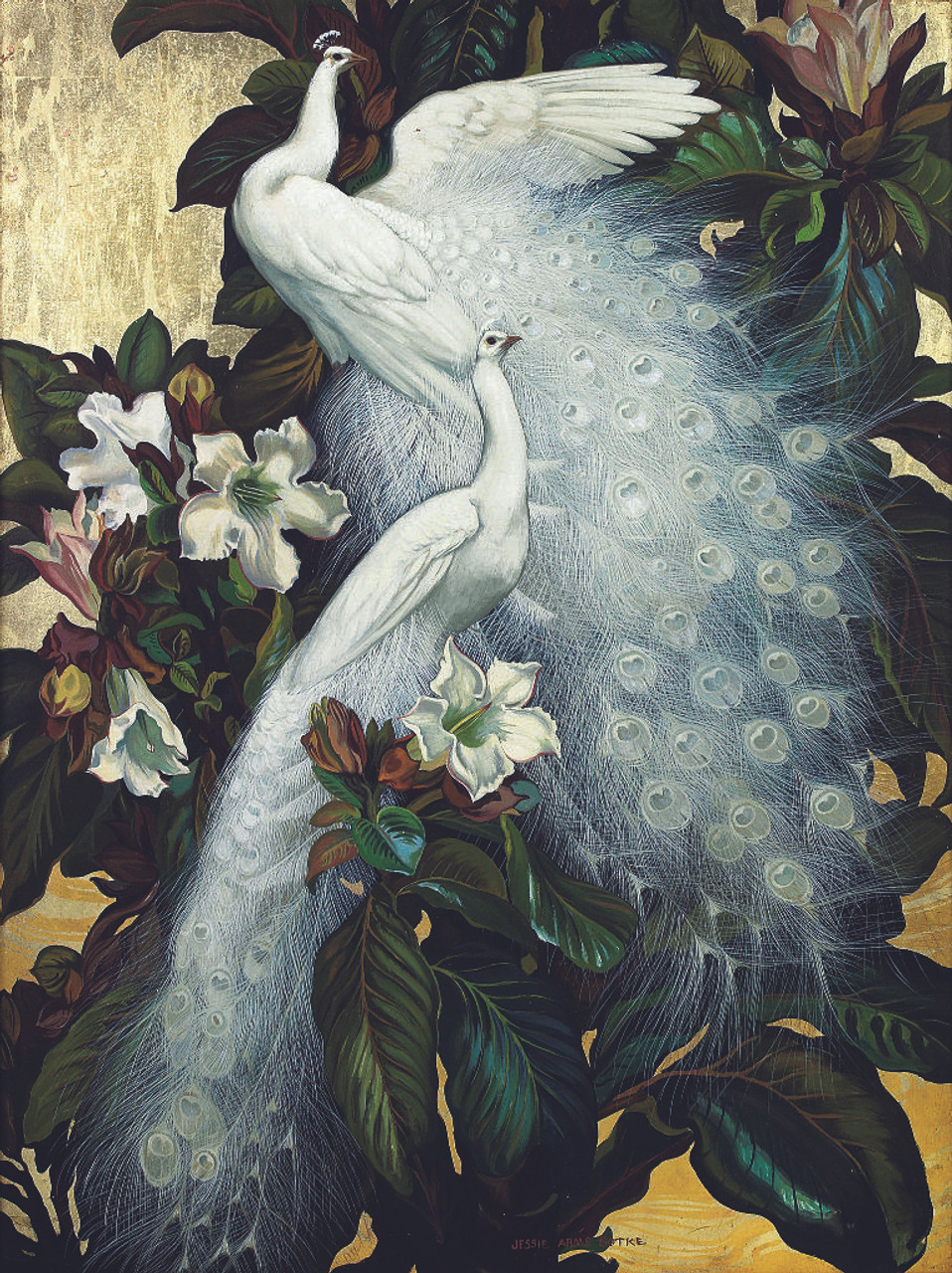 Shop White Peacock 04 (PRT_1432) - Canvas Art Print - 28in X 38in ...