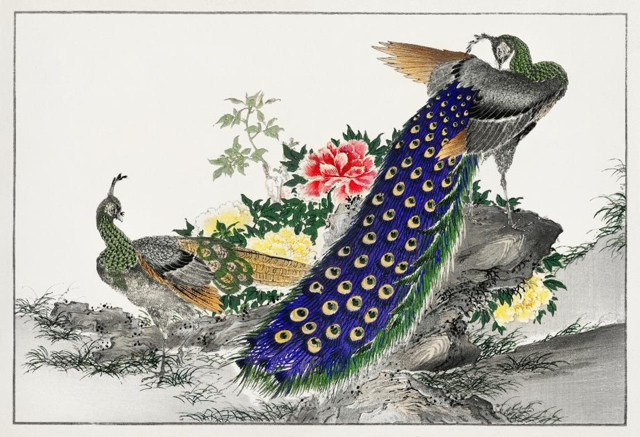 Shop Peacock And Peony Illustration From Pictorial Monograph Of ...
